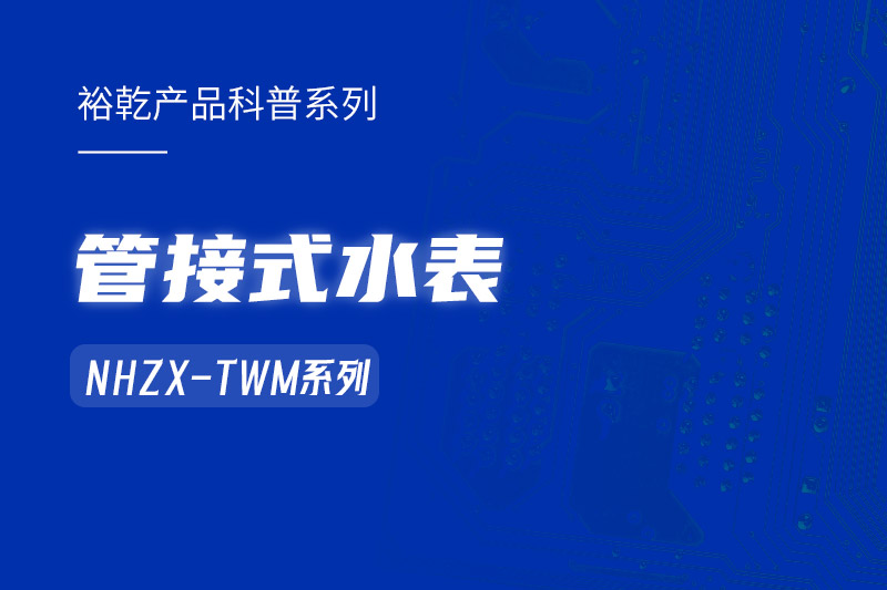 管接式水表NHZX-TWM系列：解析其在能耗監(jiān)測系統(tǒng)中的關(guān)鍵作用！